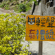Image for article titled Watch Out for Cats!